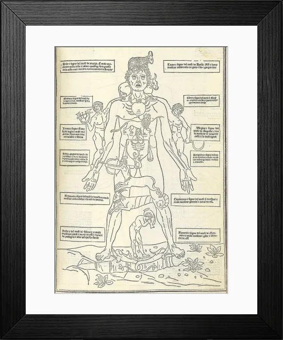 Framed Print : Zodiac Man from illustrating how the human body relates to the zodiac signs Framed Print : Zodiac Man from illustrating how the human body relates to the zodiac signs