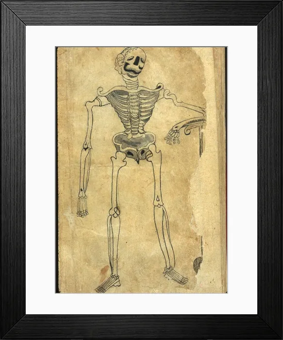 Framed Print : Human skeleton leaning on a scythe, drawn in ink and light-gray wash from a Persian translation of an Arabic medical book