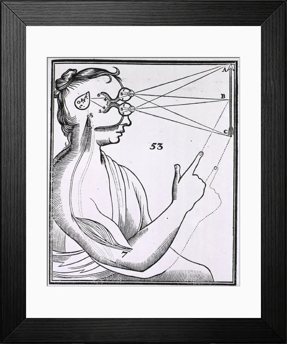 Framed Print : An illustration showing a theory of vision from Rene Descartes DE HOMINE (Treatise on Man) 1677