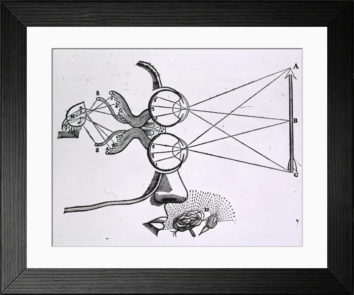 Framed Print : Portion of head with the eyes represented above each other and focused on an arrow; lines extend from the eyes to the mid