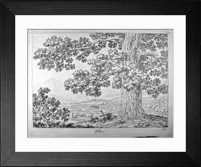 Framed Print : Basis for learning how to draw the natural landscape (Principes pour apprendre dessiner le paysage aprs nature), by Philippe Hackert, 1801 - 1802, 19th Century, etching - Italy Framed Print : Basis for learning how to draw the natural landscape (Principes pour apprendre dessiner le paysage aprs nature), by Philippe Hackert, 1801 - 1802, 19th Century, etching - Italy