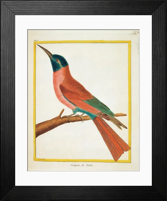 Framed Print : Unknown, Color lithographs with African animals, 18th Century, litography, Italy, Private collection (499813) Everett CollectionMondadori Portfolio**US SALES ONLY**