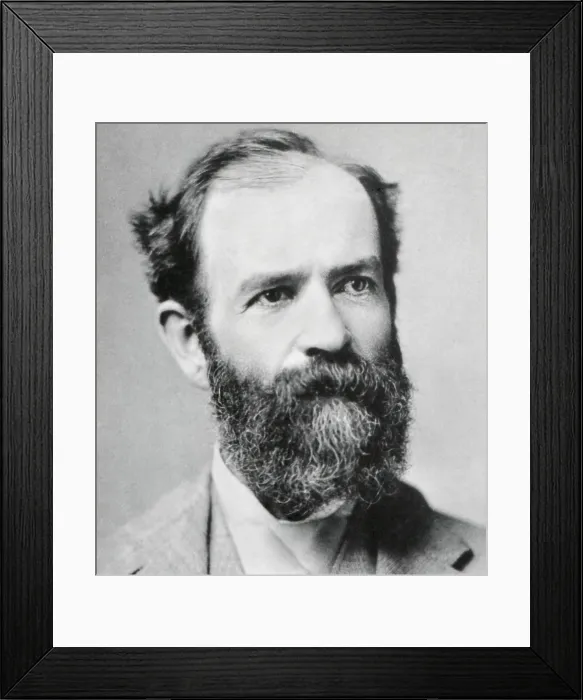 Framed Print : Jay Gould held more than 16, 000 miles of US railroads in the 1880s. He was the ultimate robber baron, leaving his heirs a fortune of $72 million. Photo c. 1870 (BSLOC_2018_4_210)