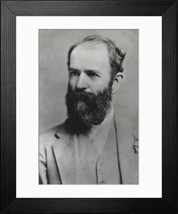 Framed Print : In August 1869, Gould netted 12 million in his 1869 scheme to corner the gold market Framed Print : In August 1869, Gould netted 12 million in his 1869 scheme to corner the gold market