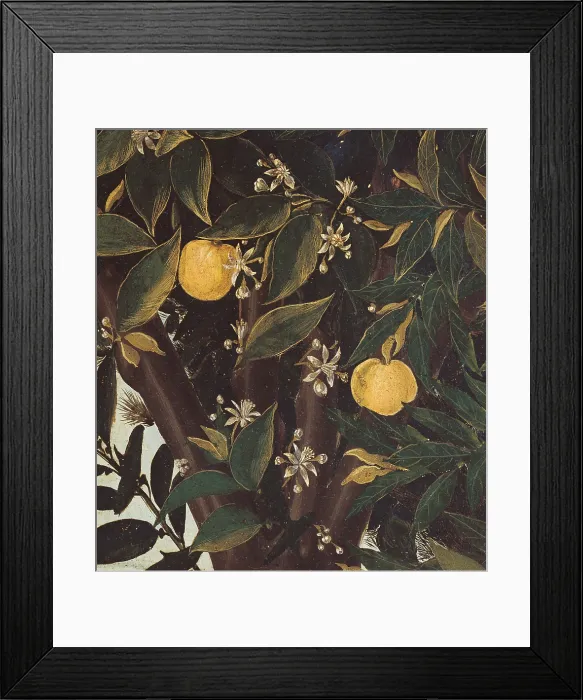Framed Print : Primavera, by Sandro Filipepi Known as Botticelli, 1478 about, 15th Century, thick tempera on panel, cm 203 x 314 - Italy, Tuscany, Florence, Uffizi Gallery