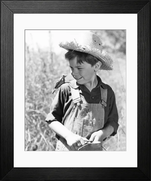 Framed Print : SO DEAR TO MY HEART, Bobby Driscoll, 1948