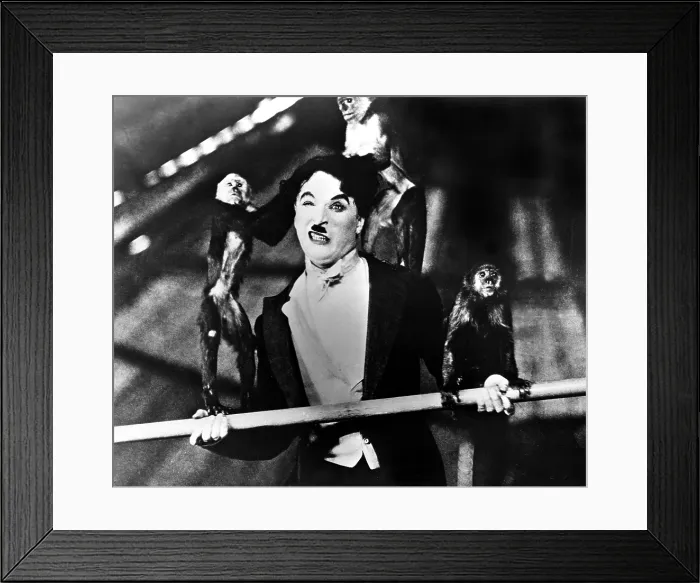 Framed Print : CIRCUS, THE, Charlie Chaplin, 1928
