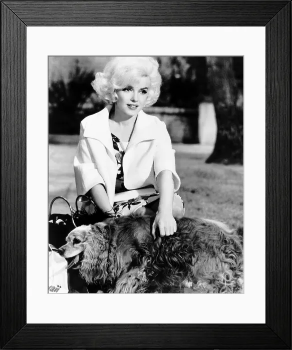 Framed Print : SOMETHING'S GOT TO GIVE, Marilyn Monroe, (with Jeff'), 1962, TM and Copyright 20th Century-Fox Film Corp. All Rights Reserved