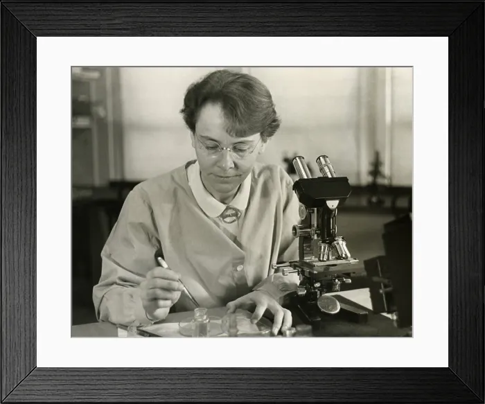 Framed Print : Barbara McClintock, in her laboratory at Cold Spring Harbor, New York, in 1947. The geneticist won the 1983 Nobel Prize for Medicine and Physiology. - (BSLOC_2015_1_62)