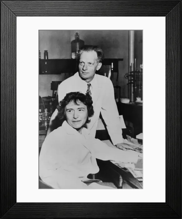 Framed Print : Dr. Carl Cori and Dr. Gerty Cori in their laboratory at the Washington University. They were awarded one half of the 1947 Nobel Prize for Medicine and Physiology Framed Print : Dr. Carl Cori and Dr. Gerty Cori in their laboratory at the Washington University. They were awarded one half of the 1947 Nobel Prize for Medicine and Physiology