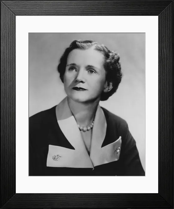 Framed Print : Marine biologist Rachel Carson, after she published her first book The Sea Around Us in 1951