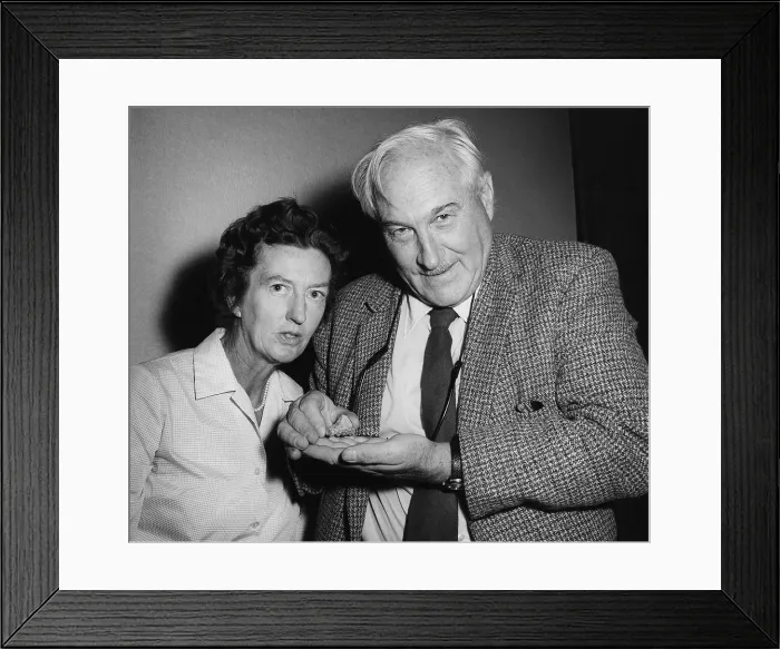 Framed Print : Anthropologists Mary Douglas Leakey and her husband, Louis Leakey. Louis is holding the fragment of an early human jaw bone with molars. Ca. 1960s. - (BSLOC_2015_1_56)