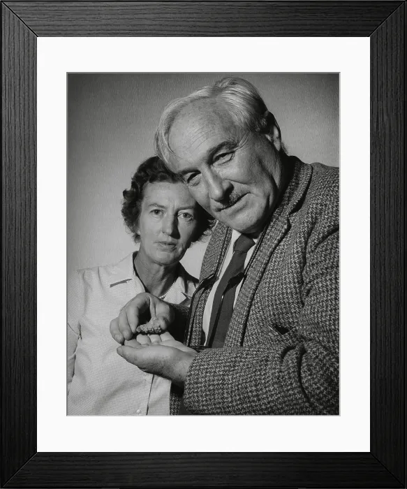 Framed Print : Anthropologists Mary Douglas Leakey and her husband Louis Leakey. Louis is holding the fragment of an early human jaw bone with molars. Ca. 1960s. - (BSLOC_2015_1_57) Framed Print : Anthropologists Mary Douglas Leakey and her husband Louis Leakey. Louis is holding the fragment of an early human jaw bone with molars. Ca. 1960s. - (BSLOC_2015_1_57)
