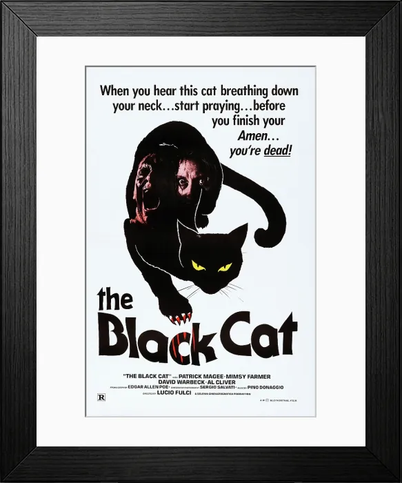 Framed Print : THE BLACK CAT, (aka BLACK CAT, aka GATTO NERO), US poster, 1981. Italian International Film / courtesy Everett Collection