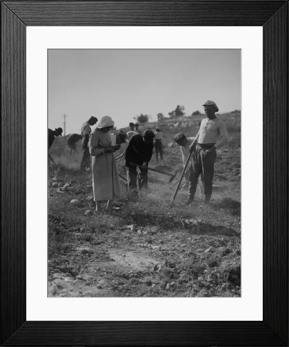 Framed Print : Jewish immigrants cultivating the ground as they establish a settlement Framed Print : Jewish immigrants cultivating the ground as they establish a settlement