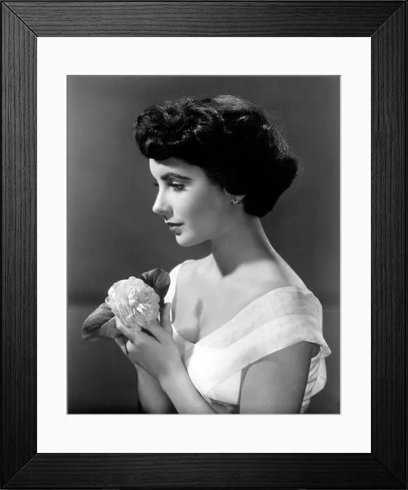 Framed Print : CONSPIRATOR, Elizabeth Taylor, 1949 Framed Print : CONSPIRATOR, Elizabeth Taylor, 1949