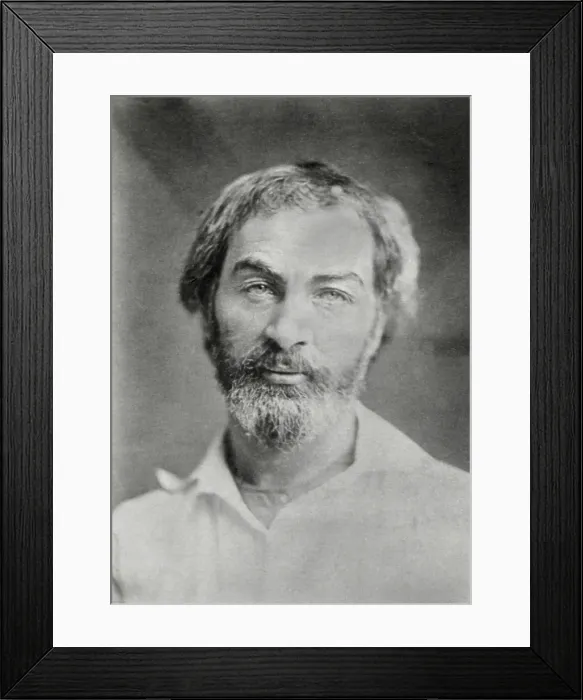 Framed Print : Portrait of Walt Whitman, American poet, from a daguerreotype taken between 1850 and 1855 (BSLOC_2018_4_43)
