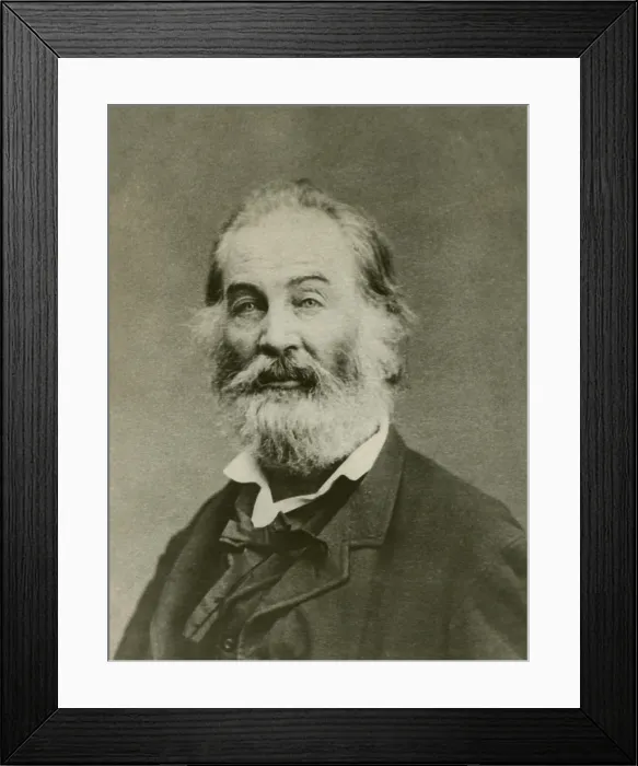 Framed Print : Portrait of Walt Whitman, American poet, c. 1860s (BSLOC_2018_4_45) Framed Print : Portrait of Walt Whitman, American poet, c. 1860s (BSLOC_2018_4_45)