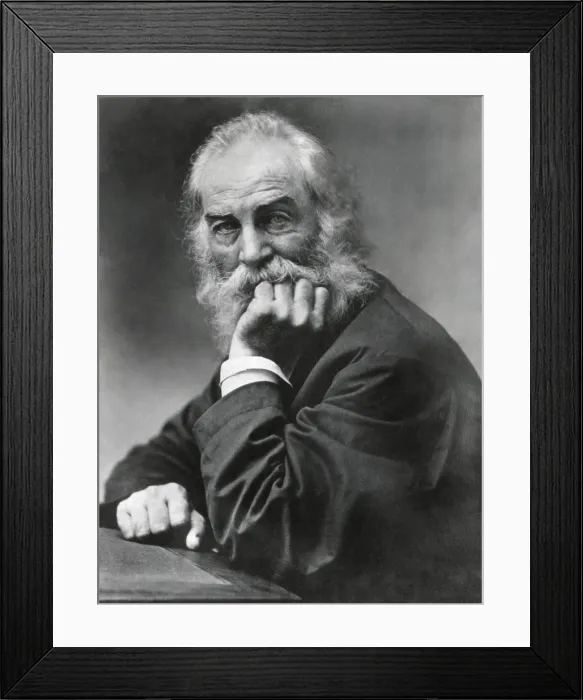 Framed Print : Portrait of Walt Whitman, American poet, with hand on chin, 1869. Photo by Frank Pearsall (BSLOC_2018_4_46)