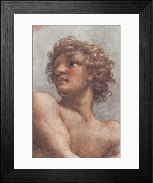 Framed Print : Allegri Antonio known as Correggio, The Vision of St John the Evangelist, the Evangelists and the Doctors of the Church, 1520 - 1524, 16th Century, fresco, Italy, Emilia Romagna Framed Print : Allegri Antonio known as Correggio, The Vision of St John the Evangelist, the Evangelists and the Doctors of the Church, 1520 - 1524, 16th Century, fresco, Italy, Emilia Romagna