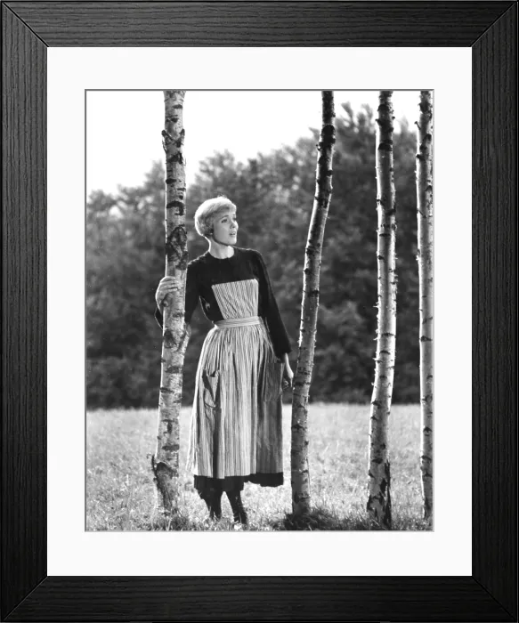 Framed Print : THE SOUND OF MUSIC, Julie Andrews, 1965, TM and Copyright (c)20th Century Fox Film Corp. All rights reserved. Courtesy: Everett Collection