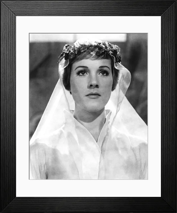 Framed Print : THE SOUND OF MUSIC, Julie Andrews, 1965, TM and Copyright (c)20th Century Fox Film Corp. All rights reserved. Courtesy: Everett Collection
