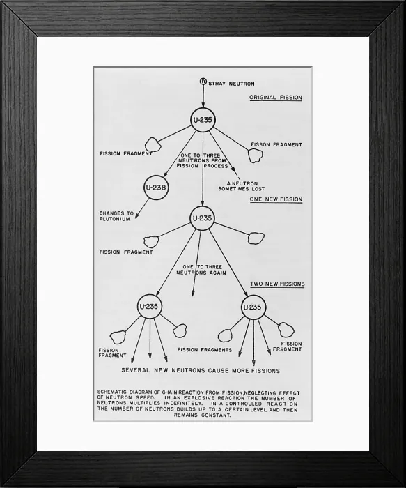 Framed Print : Schematic diagram of chain reaction from fission of uranium 235. From a U.S. government publication by Henry DeWolf Smyth, ca. 1940-45. (BSLOC_2015_2_19) Framed Print : Schematic diagram of chain reaction from fission of uranium 235. From a U.S. government publication by Henry DeWolf Smyth, ca. 1940-45. (BSLOC_2015_2_19)