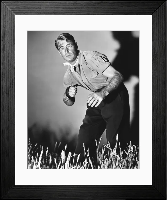 Framed Print : WILD HARVEST, Alan Ladd, 1947