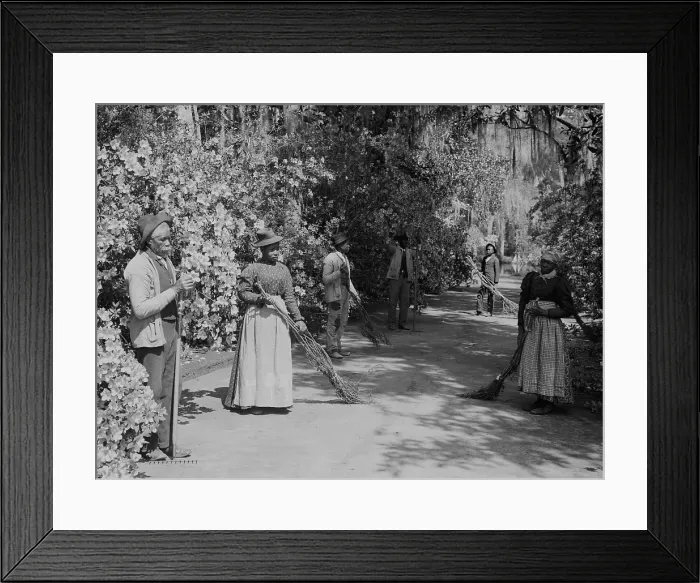 Framed Print : African American caretakers at the Magnolia Plantation and Gardens in Charleston, SC. The sweepers hold crude brooms made of twigs