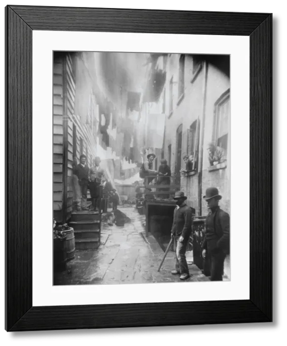 Framed Print : BANDITS ROOSE, was photographed in an alley at 59 1 / 2 Mulberry Street, by Jacob Riis, c. 1888-90 Framed Print : BANDITS ROOSE, was photographed in an alley at 59 1 / 2 Mulberry Street, by Jacob Riis, c. 1888-90