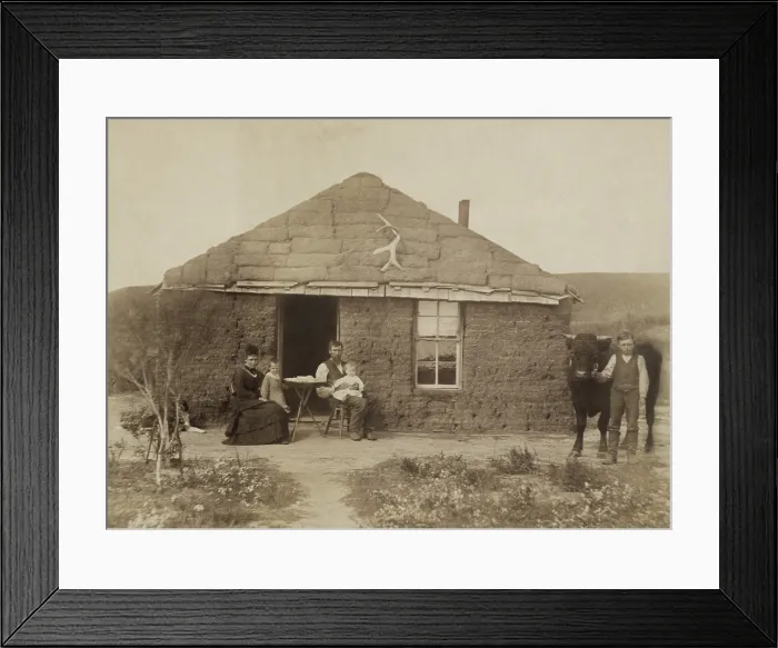 Framed Print : Laulerman family in front of their sod house, in Custer County, Nebraska, 1886. The couple pose seated with two children, while an older boy stands holding a bull
