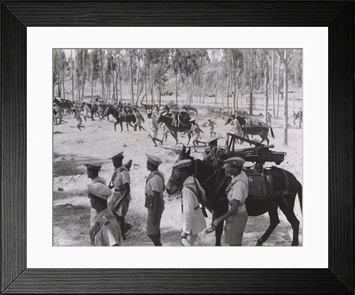 Framed Print : 65 mm guns captured from the Italians are transported to forward positions by Ethiopian solders. Italo-Ethiopian War, 1935-36. (BSLOC_2014_7_33) Framed Print : 65 mm guns captured from the Italians are transported to forward positions by Ethiopian solders. Italo-Ethiopian War, 1935-36. (BSLOC_2014_7_33)