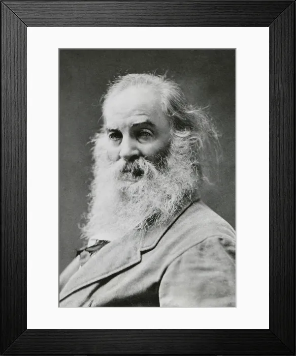 Framed Print : Portrait of Walt Whitman, American poet, c. 1870 (BSLOC_2018_4_47)
