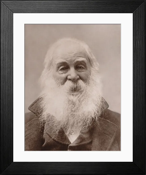 Framed Print : Portrait of Walt Whitman, American poet, 1888 (BSLOC_2018_4_48)