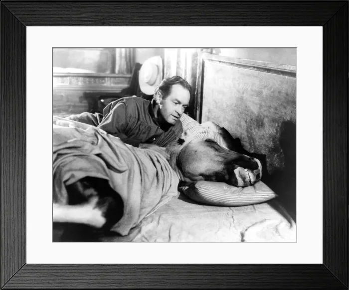 Framed Print : SON OF PALEFACE, Bob Hope, Trigger, 1952 Framed Print : SON OF PALEFACE, Bob Hope, Trigger, 1952