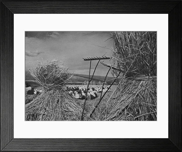 Framed Print : Dinner time during the harvest season on a Communist collective farm. Several dozen women sit in a field, with scene framed by hay bundles and rakes. Ca. 1935-40 Framed Print : Dinner time during the harvest season on a Communist collective farm. Several dozen women sit in a field, with scene framed by hay bundles and rakes. Ca. 1935-40