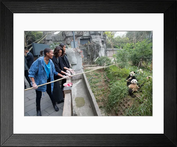 Framed Print : First Lady Michelle Obama, daughters Sasha and Malia feed apples to giant pandas. Giant Panda Research Base in Chengdu, China, March 26, 2014 (BSLOC_2015_3_38) Framed Print : First Lady Michelle Obama, daughters Sasha and Malia feed apples to giant pandas. Giant Panda Research Base in Chengdu, China, March 26, 2014 (BSLOC_2015_3_38)