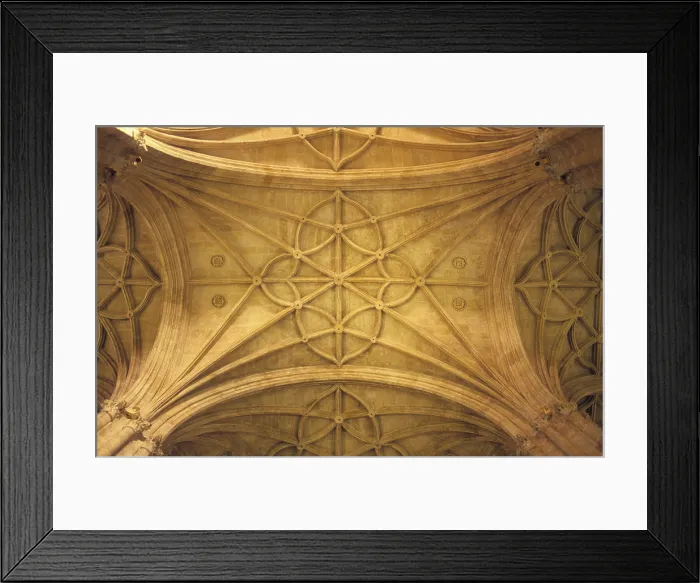Framed Print : SPAIN. Almeria. Cathedral. Vault of the main nave. Renaissance art. Architecture. - Lucas Vallecillos / Iberfoto / Everett Collection (595235)**US SALES ONLY**