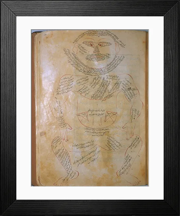 Framed Print : The human musculature, from MANSUR'S ANATOMY, authored by the Persian scholar and physician, Mansur ibn Ilyas (ca. 1370-1423) Framed Print : The human musculature, from MANSUR'S ANATOMY, authored by the Persian scholar and physician, Mansur ibn Ilyas (ca. 1370-1423)