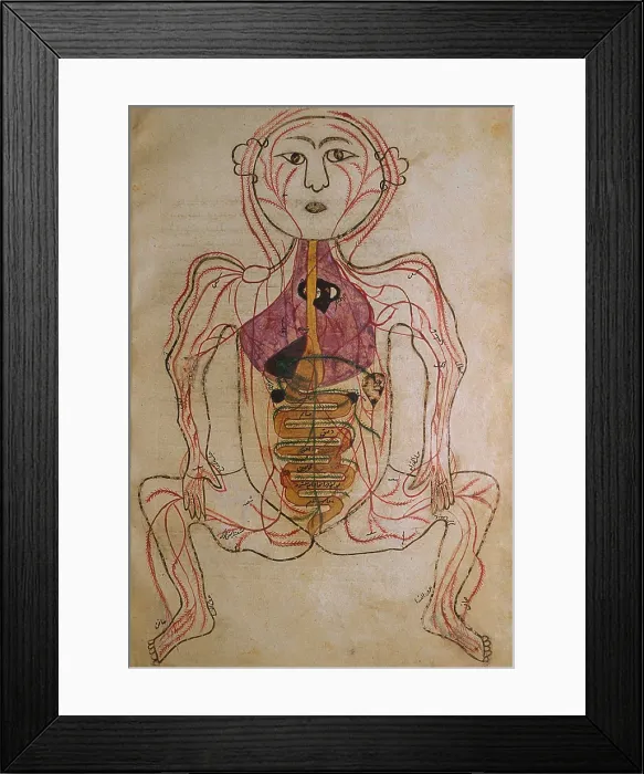 Framed Print : The human circulation system, from MANSUR'S ANATOMY, authored by the Persian scholar and physician, Mansur ibn Ilyas (ca. 1370-1423) Framed Print : The human circulation system, from MANSUR'S ANATOMY, authored by the Persian scholar and physician, Mansur ibn Ilyas (ca. 1370-1423)