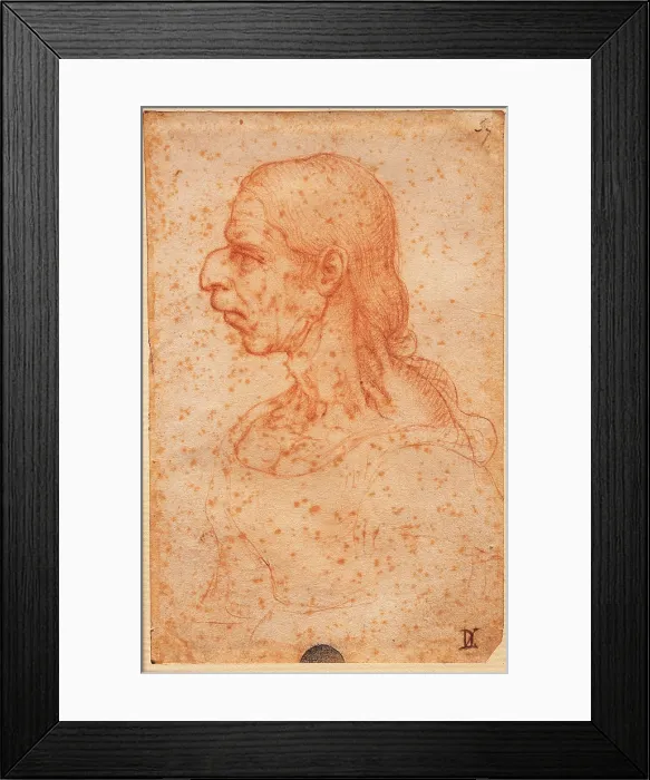 Framed Print : imitator Leonardo da Vinci, Caricature of an old woman, 16th Century, sanguine, Italy, Veneto, Venice