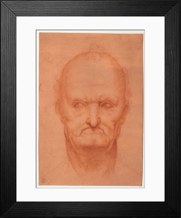 Framed Print : perhaps by apprentice Leonardo da Vinci, Head of an Aged / Old man, 16th Century, sanguine, Italy, Piemonte, Turin Framed Print : perhaps by apprentice Leonardo da Vinci, Head of an Aged / Old man, 16th Century, sanguine, Italy, Piemonte, Turin
