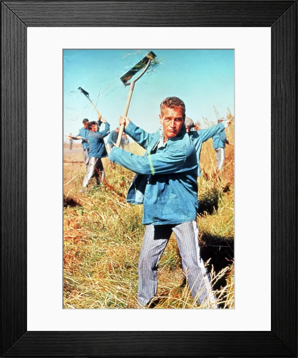 Framed Print : COOL HAND LUKE, Paul Newman, 1967