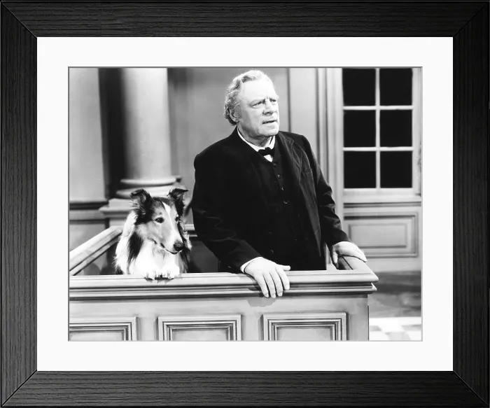 Framed Print : CHALLENGE TO LASSIE, from left: Lassie, Edmund Gwenn, 1949 Framed Print : CHALLENGE TO LASSIE, from left: Lassie, Edmund Gwenn, 1949