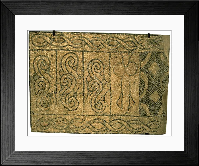 Framed Print : Pattern, by Unknown Artist, 13th Century, floor mosaic - Italy, Emilia Romagna, Ravenna, Church of Saint John the Baptist. Whole artwork view Framed Print : Pattern, by Unknown Artist, 13th Century, floor mosaic - Italy, Emilia Romagna, Ravenna, Church of Saint John the Baptist. Whole artwork view