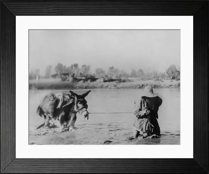 Framed Print : Mexican man leads a loaded donkey crossing the Rio Grande at Ojinaga, Mexico, 1910-1915