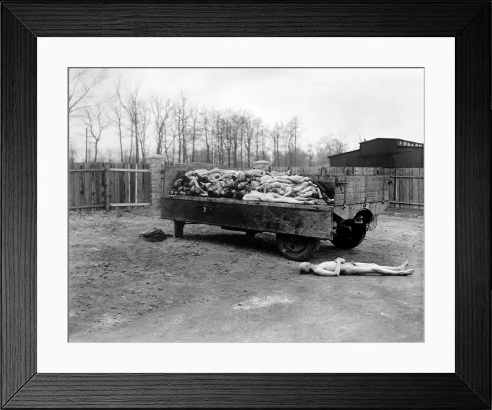 Framed Print : A truck load of bodies of dead prisoners of the Nazis, at Buchenwald concentration camp. Their disposal was interrupted when the camp was captured by troops of the 3rd U.S. Army