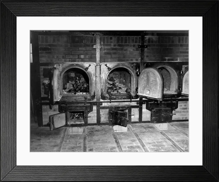 Framed Print : Human bones in the crematorium of Buchenwald concentration camp after liberation. U.S. 3rd Army arrived at the camp near Weimer, Germany, on April 11, 1945, during World War 2 Framed Print : Human bones in the crematorium of Buchenwald concentration camp after liberation. U.S. 3rd Army arrived at the camp near Weimer, Germany, on April 11, 1945, during World War 2