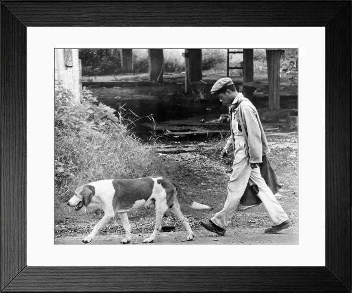 Framed Print : SOUNDER, Kevin Hooks, 1972 Framed Print : SOUNDER, Kevin Hooks, 1972