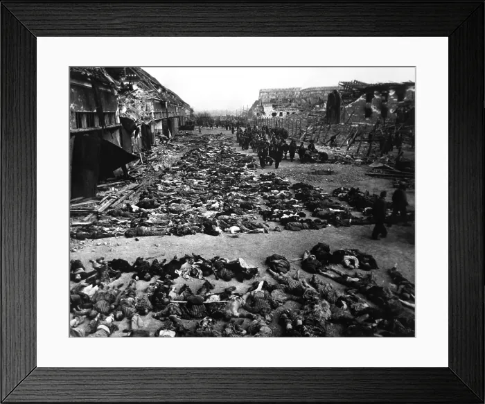 Framed Print : Bodies of dead inmates fill the yard of Nordhausen, a Gestapo concentration camp. Photo was taken shortly after the camp's liberation by U.S. Army